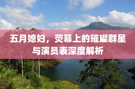 五月媳婦，熒幕上的璀璨群星與演員表深度解析