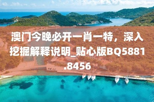 澳門今晚必開一肖一特，深入挖掘解釋說明_貼心版BQ5881.8456
