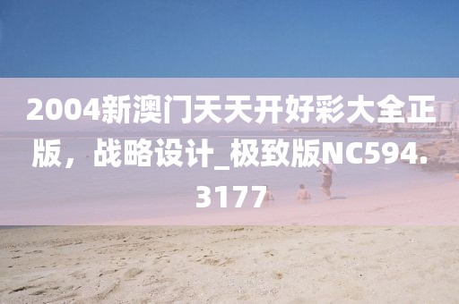2004新澳門天天開好彩大全正版，戰(zhàn)略設(shè)計_極致版NC594.3177