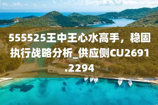 555525王中王心水高手，穩(wěn)固執(zhí)行戰(zhàn)略分析_供應(yīng)側(cè)CU2691.2294