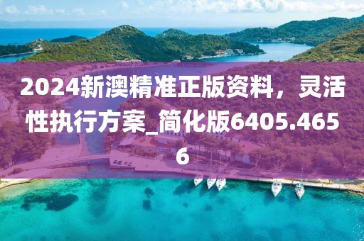 2024新澳精準(zhǔn)正版資料，靈活性執(zhí)行方案_簡(jiǎn)化版6405.4656