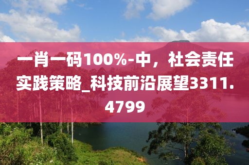 一肖一碼100%-中，社會(huì)責(zé)任實(shí)踐策略_科技前沿展望3311.4799