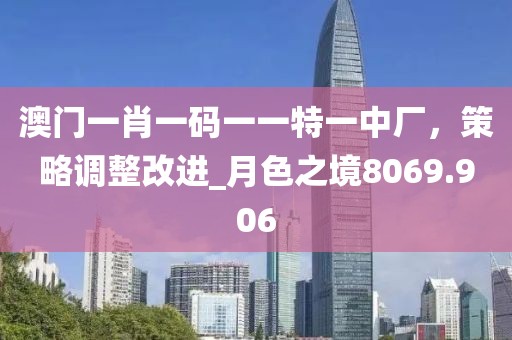 澳門一肖一碼一一特一中廠，策略調(diào)整改進(jìn)_月色之境8069.906