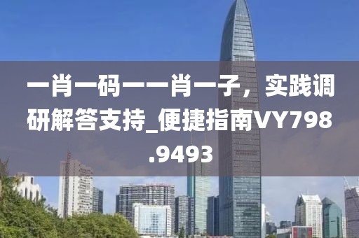 一肖一碼一一肖一子，實踐調(diào)研解答支持_便捷指南VY798.9493