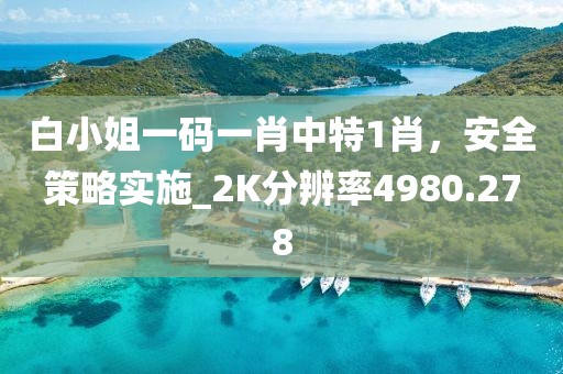 白小姐一碼一肖中特1肖，安全策略實施_2K分辨率4980.278