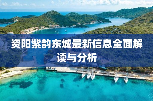資陽紫韻東城最新信息全面解讀與分析