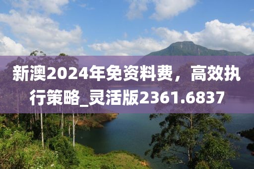 新澳2024年免資料費(fèi)，高效執(zhí)行策略_靈活版2361.6837