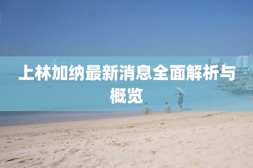 上林加納最新消息全面解析與概覽