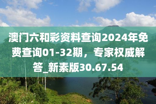 澳門六和彩資料查詢2024年免費查詢01-32期，專家權(quán)威解答_新素版30.67.54