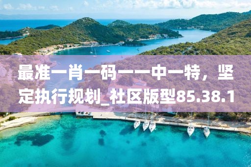 最準(zhǔn)一肖一碼一一中一特，堅(jiān)定執(zhí)行規(guī)劃_社區(qū)版型85.38.1