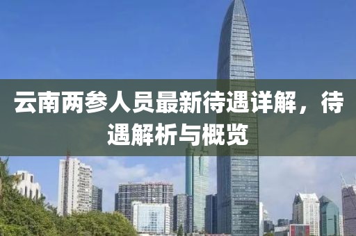 云南兩參人員最新待遇詳解，待遇解析與概覽