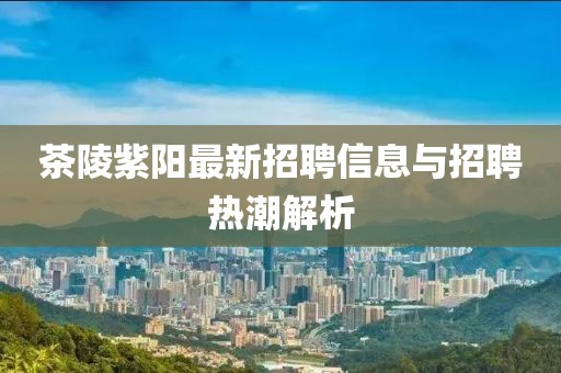 茶陵紫陽最新招聘信息與招聘熱潮解析