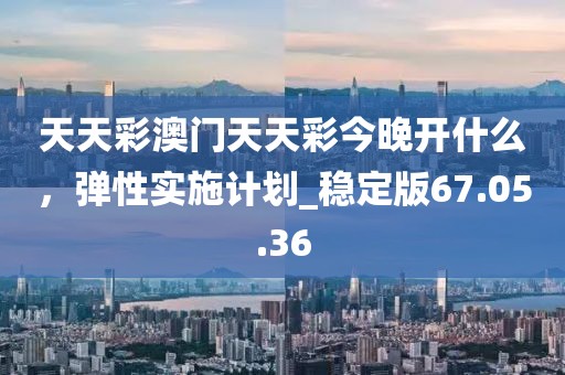 天天彩澳門天天彩今晚開(kāi)什么，彈性實(shí)施計(jì)劃_穩(wěn)定版67.05.36