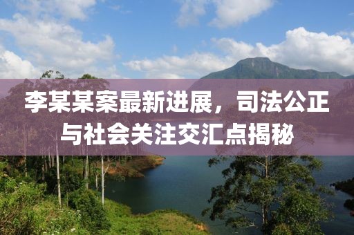 李某某案最新進展，司法公正與社會關(guān)注交匯點揭秘