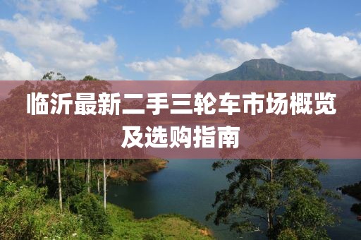 臨沂最新二手三輪車市場(chǎng)概覽及選購(gòu)指南