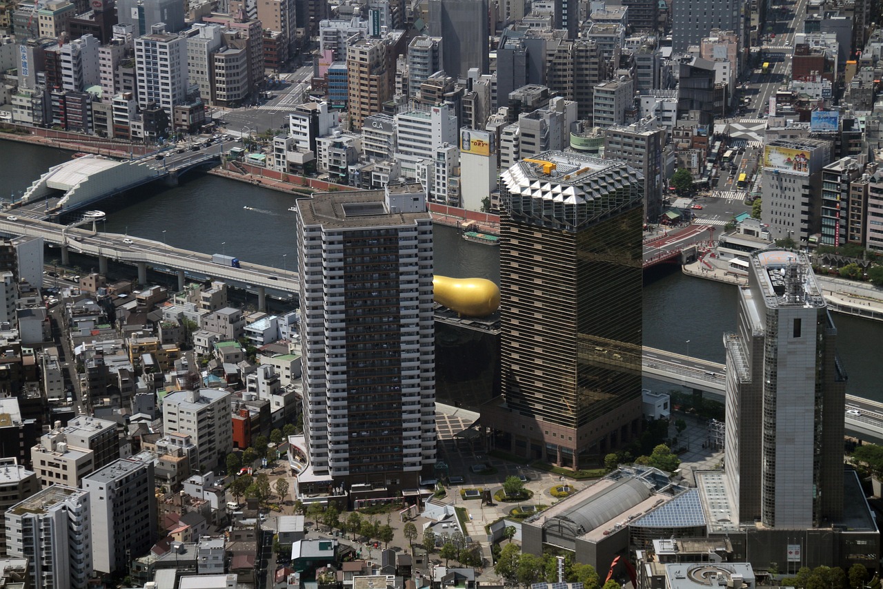 海東市樂都區(qū)未來藍(lán)圖規(guī)劃揭秘，塑造未來城市的最新規(guī)劃