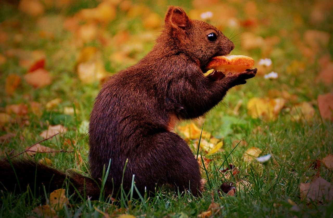 產(chǎn)品展示 第622頁