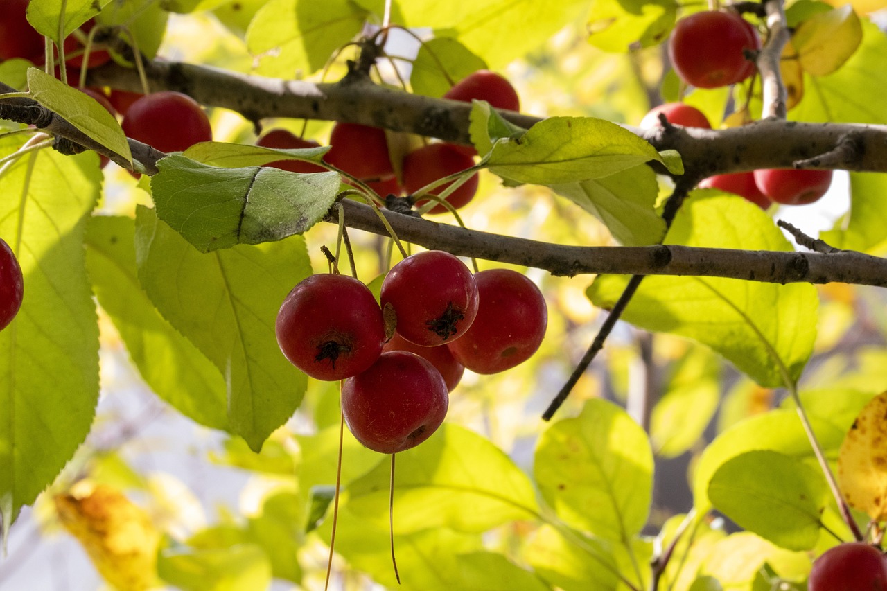 怒江最新動(dòng)態(tài)，發(fā)展與挑戰(zhàn)并存