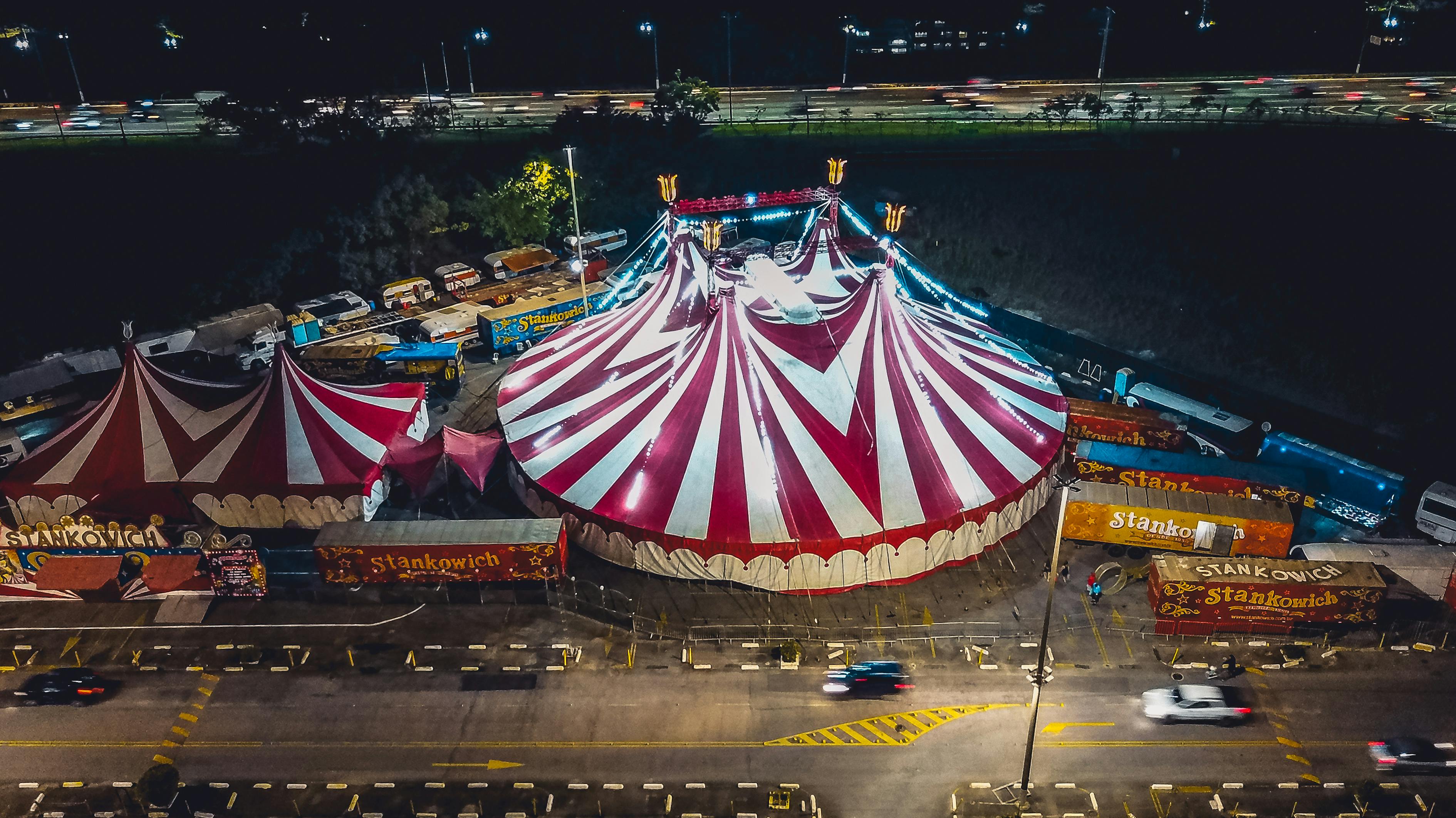 臨沂土豆價格最新行情分析，市場動態(tài)與趨勢解讀