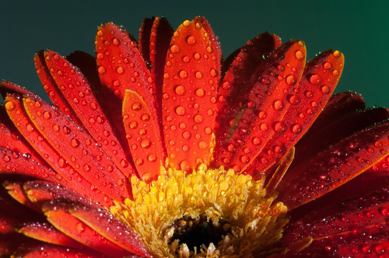 聚有錢最新消息全面解析與動態(tài)更新