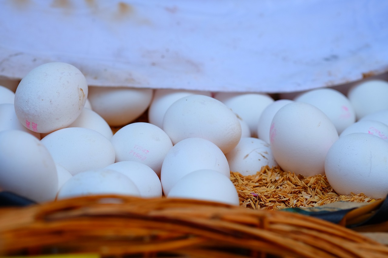 鈧最新價(jià)格動(dòng)態(tài)分析與趨勢預(yù)測