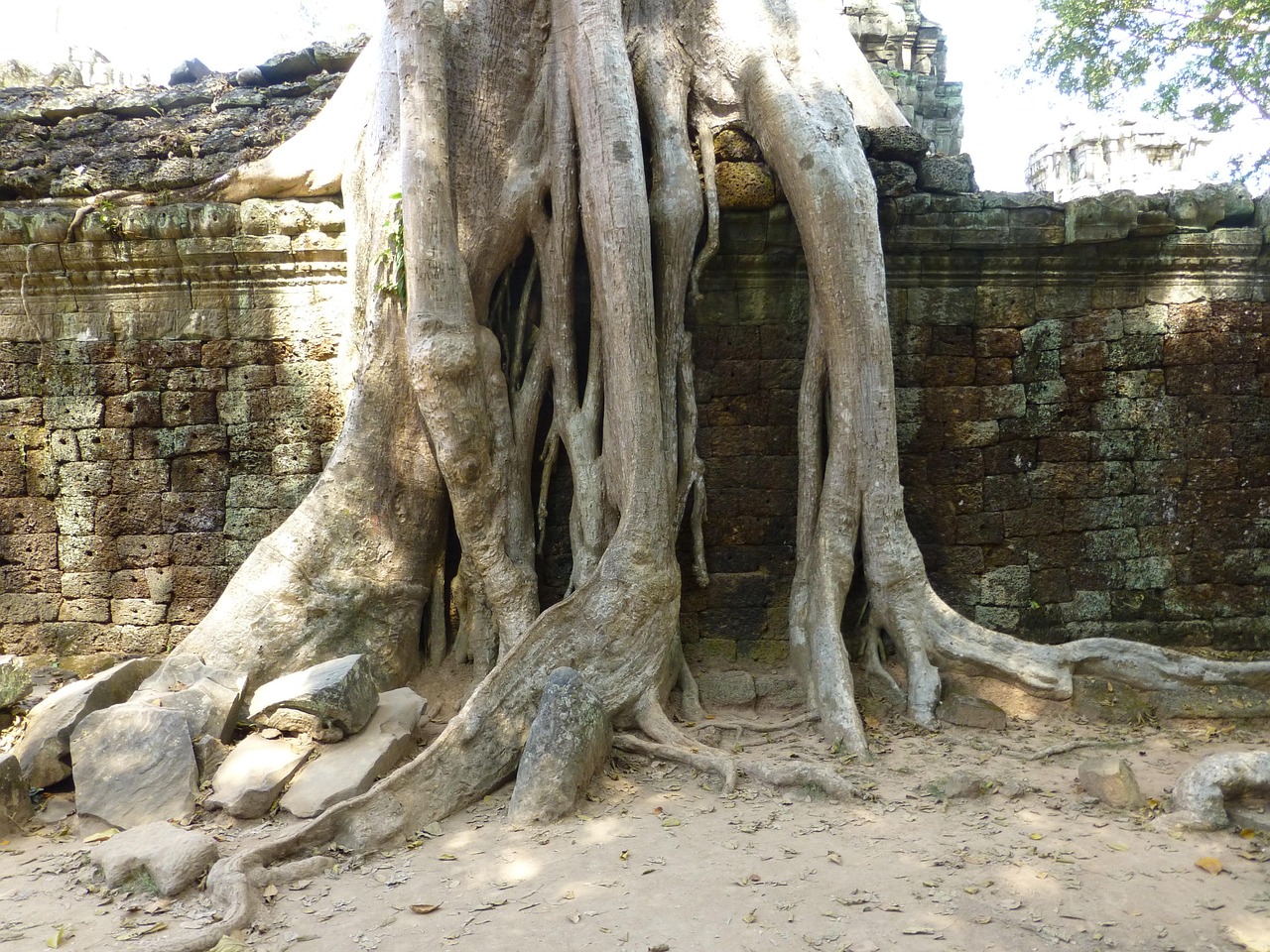 途樂最新動態(tài)，豪華越野之旅的未來探索