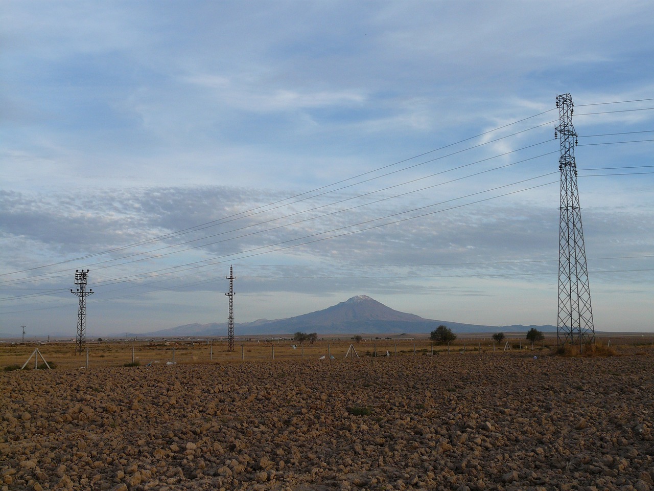 2025年1月 第179頁(yè)